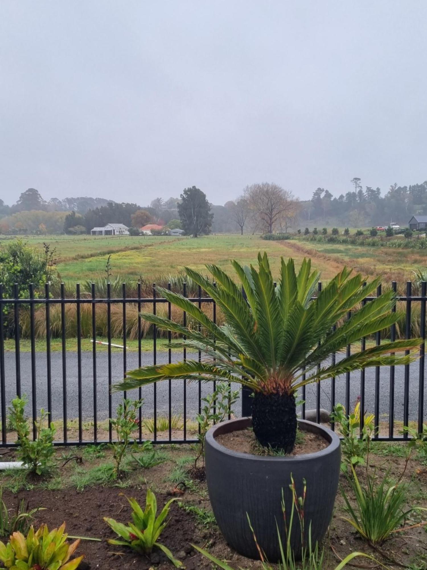 Bach22 Rustic Romantic Getaway Te Puna Экстерьер фото
